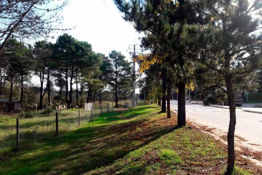 “Pinamar necesita una gestión en comunidad”