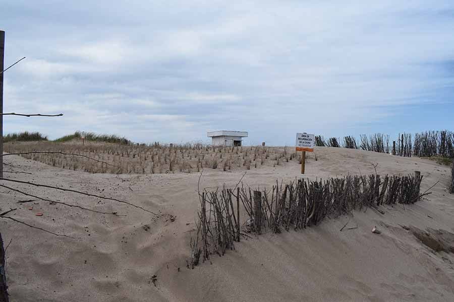 Buscan preservar el relieve costero