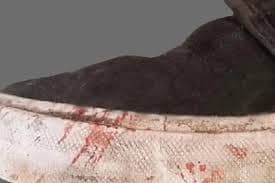 Apuntes sobre algunos rasgos a analizar de un crimen