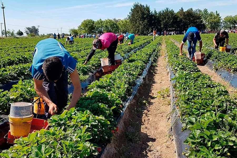 Gral. Lavalle: Una nueva posibilidad laboral
