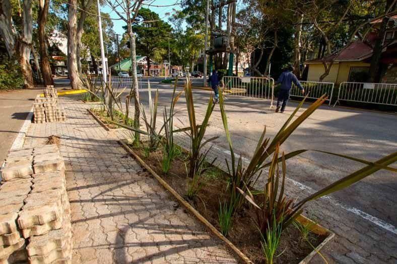 Priorizar el espacio público en beneficio del peatón