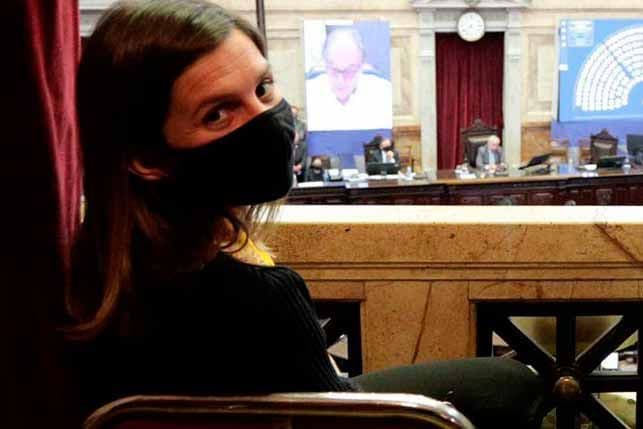 La mayoría le dio la aprobación con 245 votos positivos