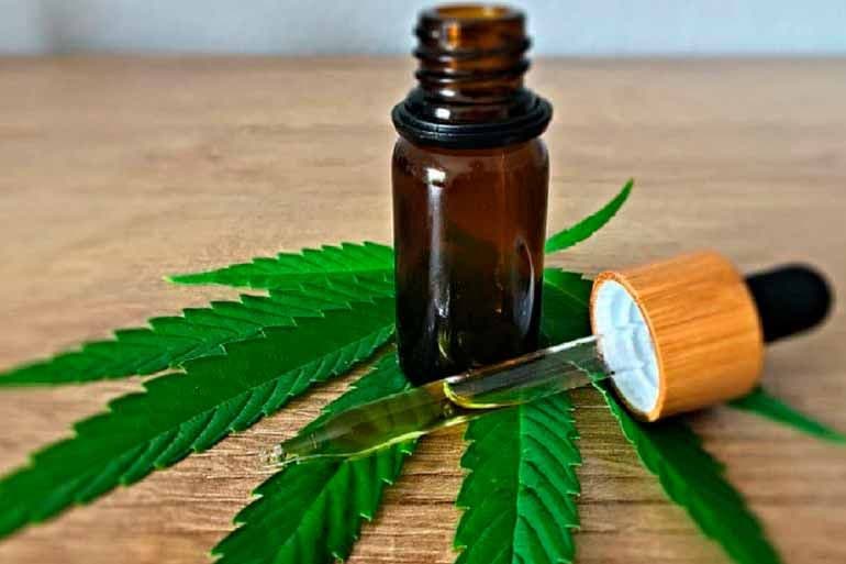Acerca del cultivo del cannabis