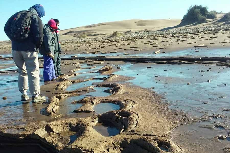 Pehuen Co: Aventura, naturaleza y ciencia en un mismo lugar