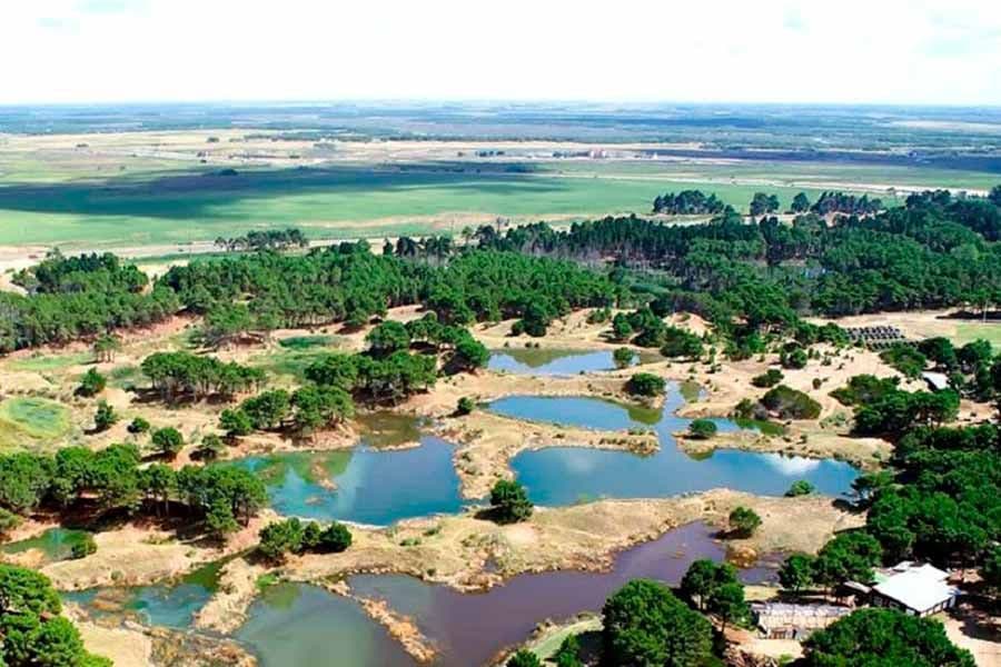 El gobierno nacional licita las obras de la planta depuradora de Pinamar