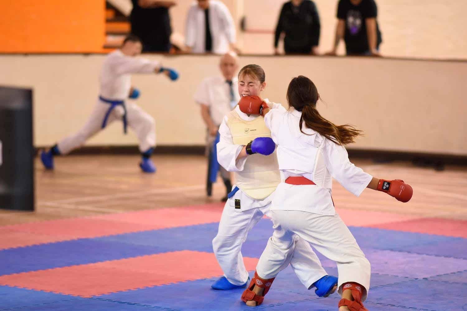 Liga Regional de Karate