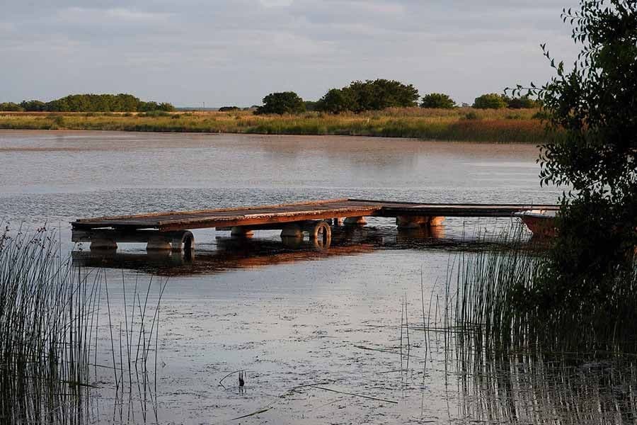 Observación de naturaleza, cada vez más entusiasmos