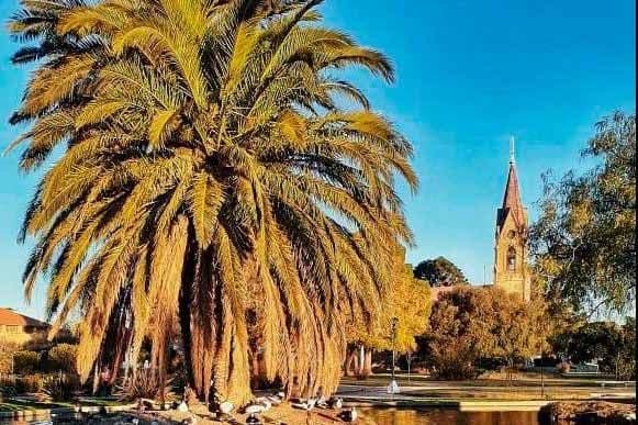 Cuatro destinos para conocer a través de sus jardines y parques