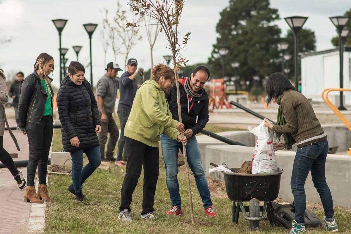 Árboles para Ostende