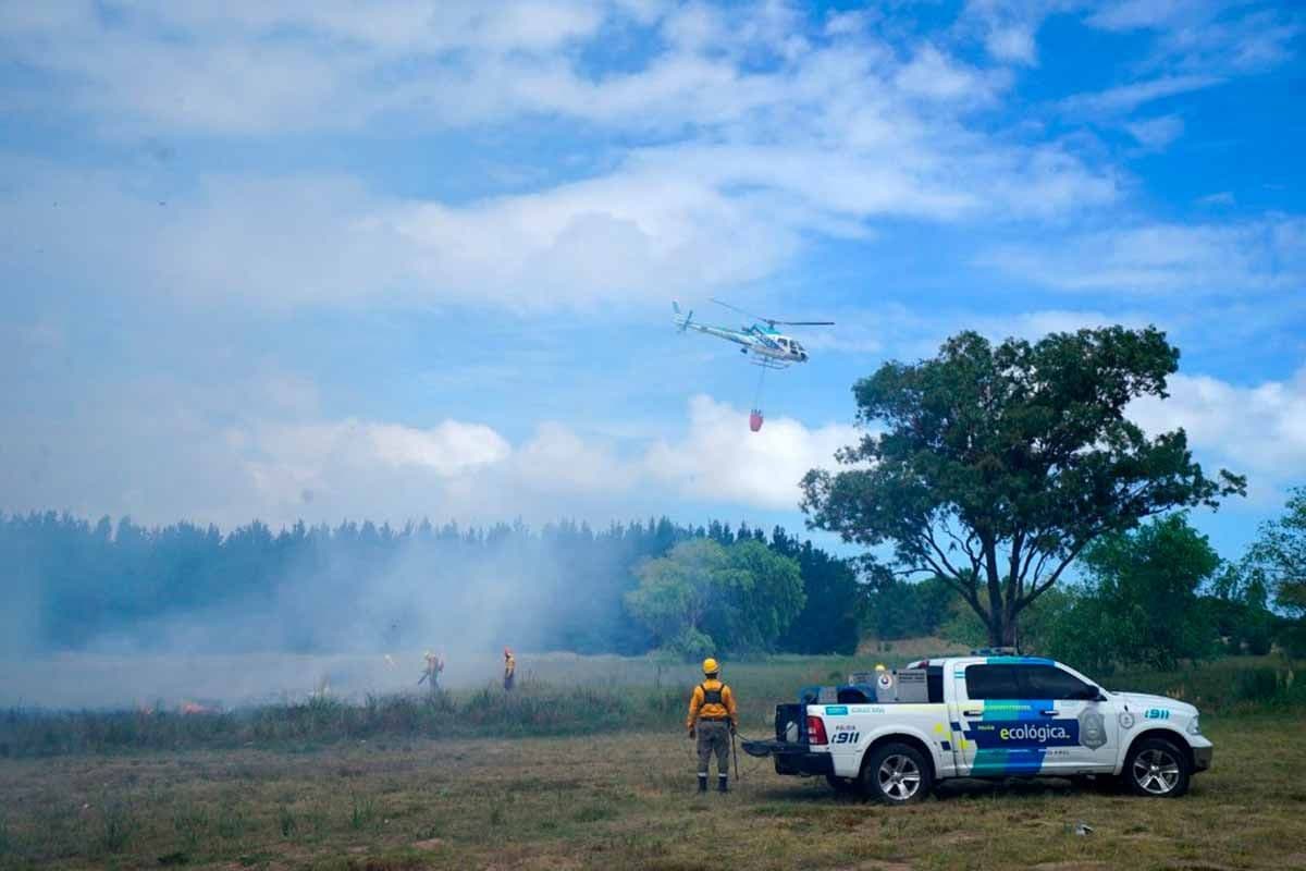 Piden evitar la Ruta 11 por los incendios en Gesell