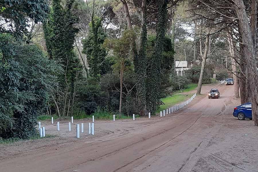 El municipio busca construir un sendero peatonal en Cariló