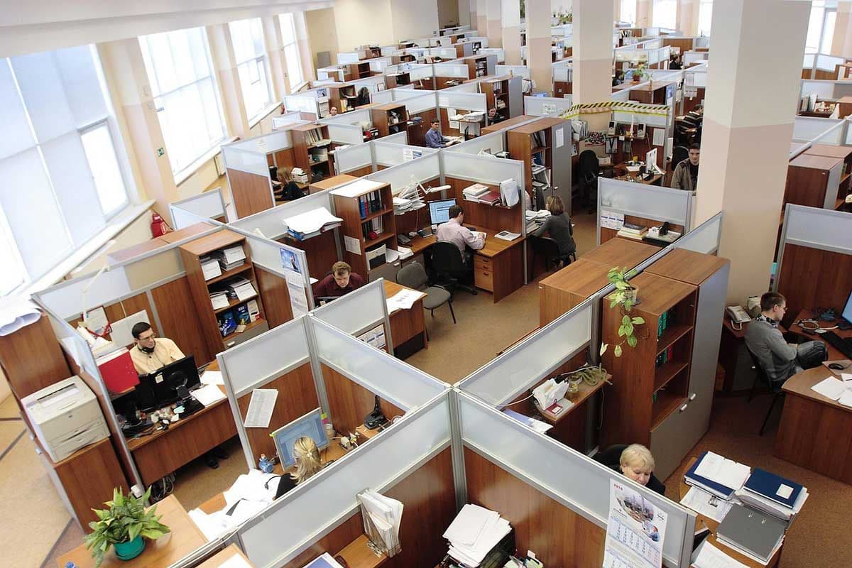 Cómo identificar un ambiente laboral saludable antes de aceptar un trabajo