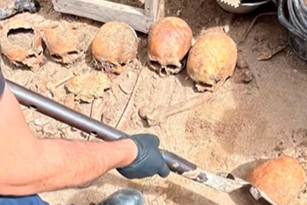 Ostende: refaccionaban una casa y encontraron más de 10 cráneos humanos